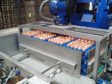 Palettisation oeufs